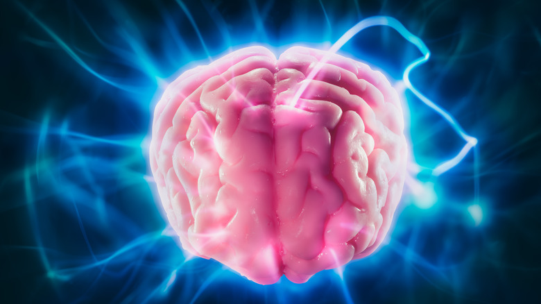 Meditation rewires the brain