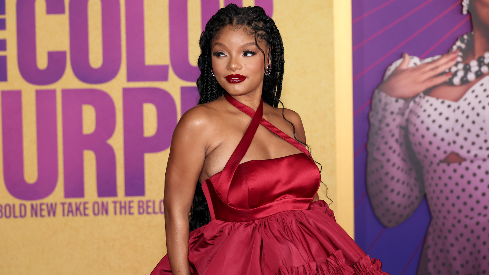 What We Know About Halle Bailey's Son