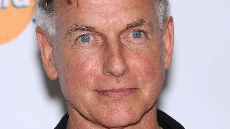 Mark Harmon posing 