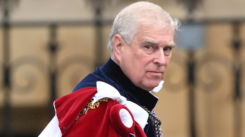 Prince Andrew if velvet royal garb