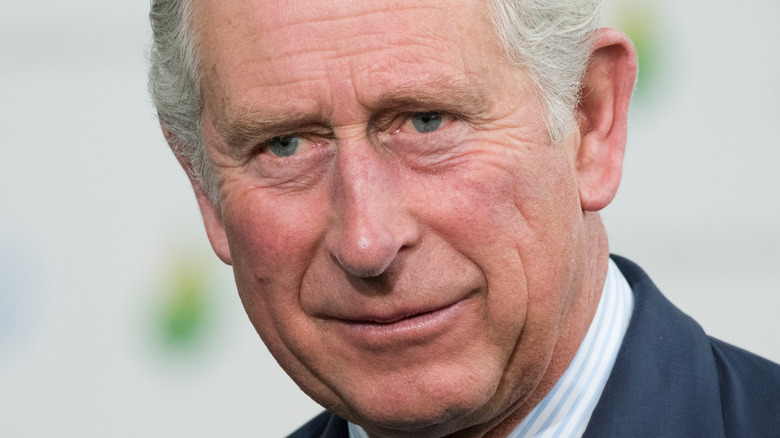 Prince Charles attends an event