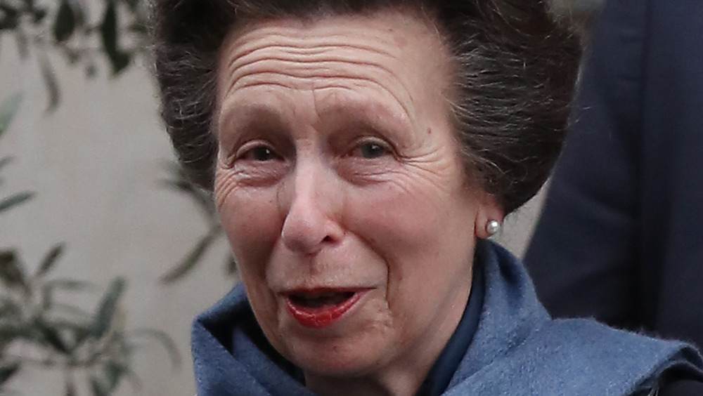 Princess Anne smiling, close-up