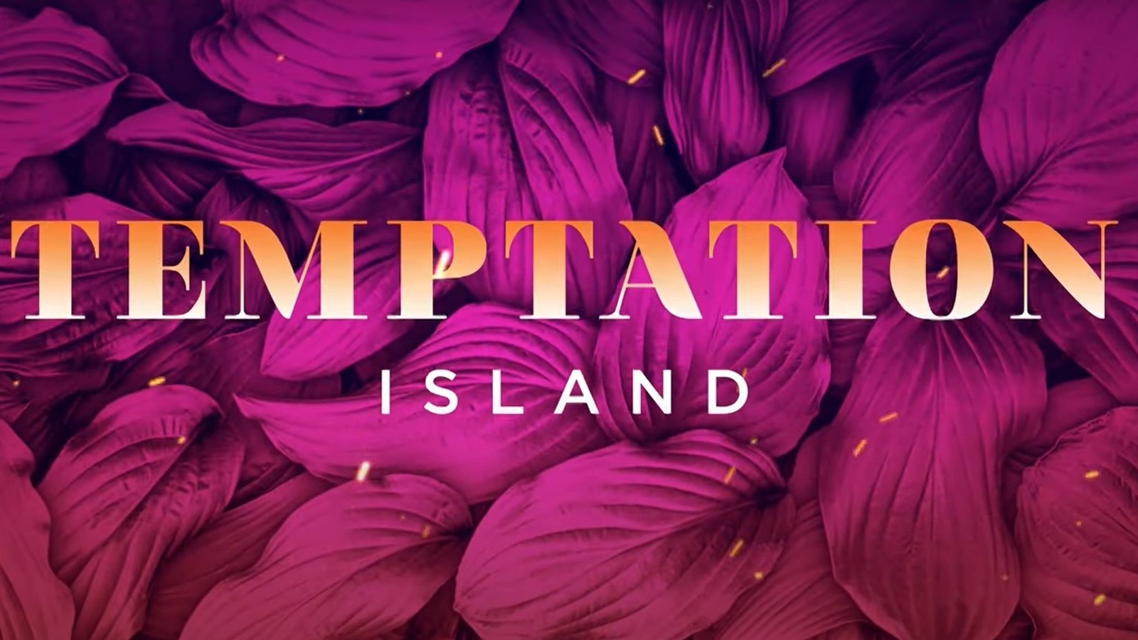 What We Know About Temptation Island Season 4 Release Date, Cast, And