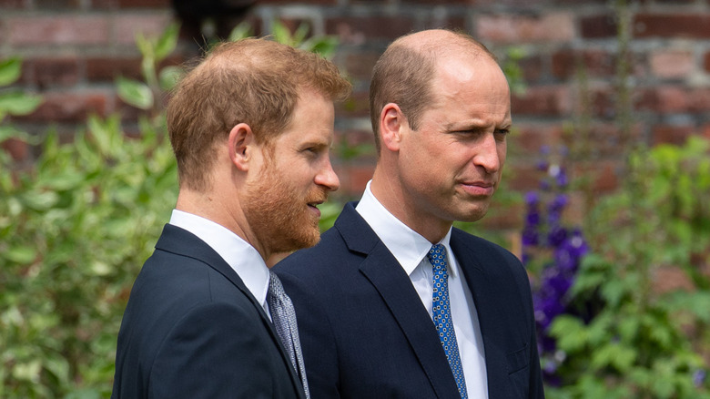 Prince Harry and Prince William at event