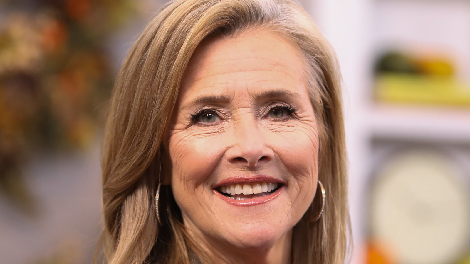 What You Didn't Know About Meredith Vieira
