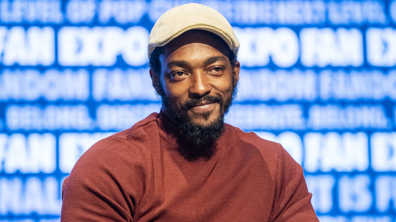 Anthony Mackie with a beard