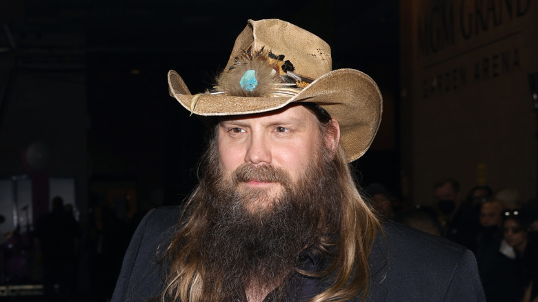 Tom Petty in concert