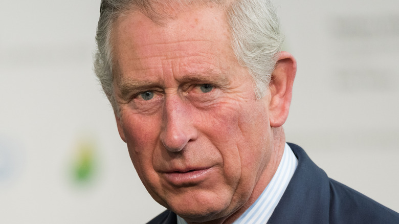 Prince Charles close-up