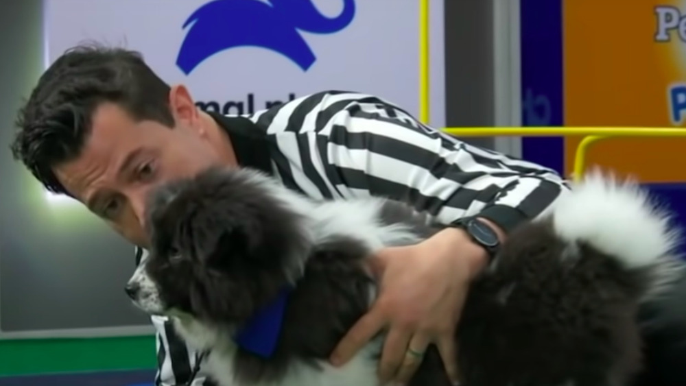Chunky Monkey Puppy Bowl
