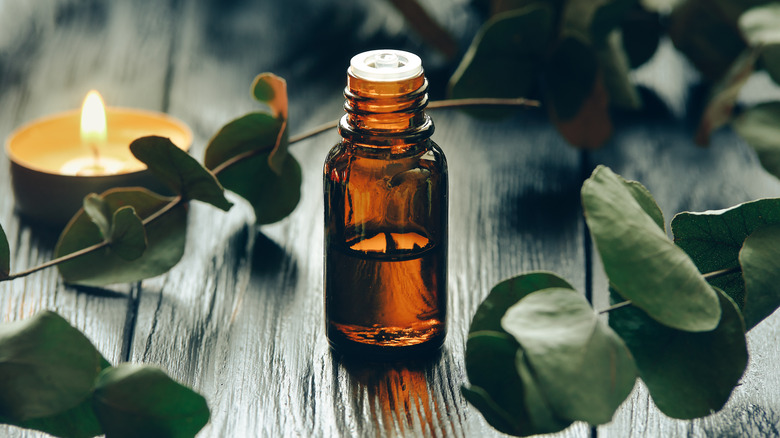 Bottle of eucalyptus oil on a table