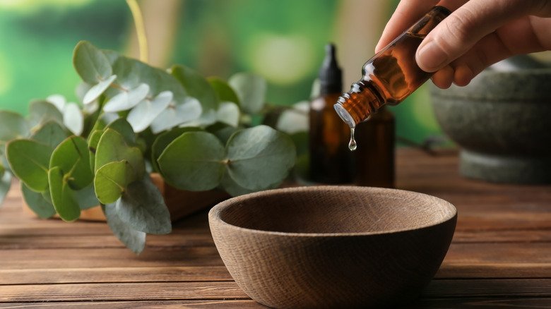 Woman pouring eucalyptus oil into a bowl