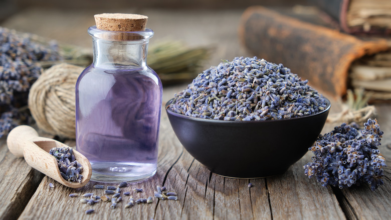 Lavender oil and lavender flowers