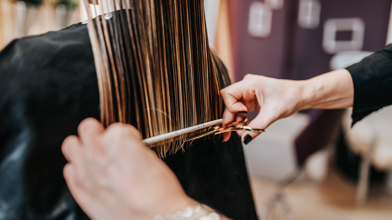 Woman getting hair cut