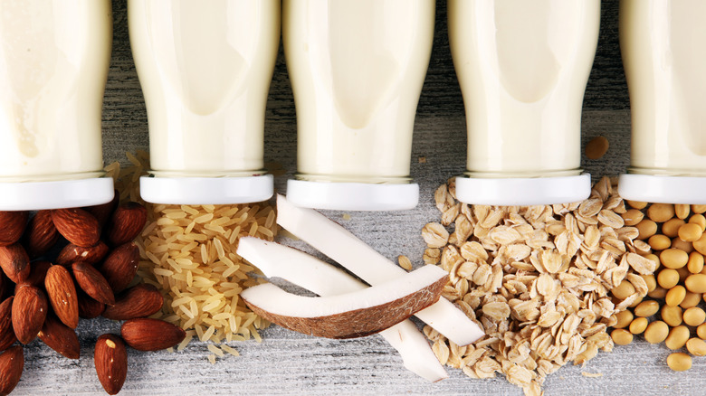 Various plant milks with the ingredients they're made from