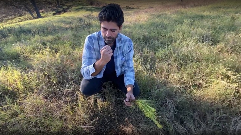 Adrian Grenier holding a plant