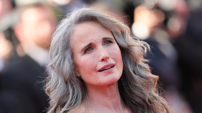 Andie MacDowell smiling in a silver dress on the red carpet of Cannes Film Festival.