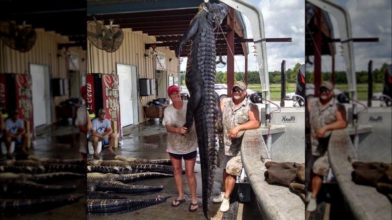 Liz Cavalier and Justin Choate posing next to a large alligator