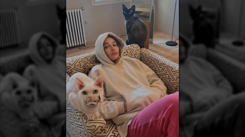 Jemima Kirke laying in a chair with two cats