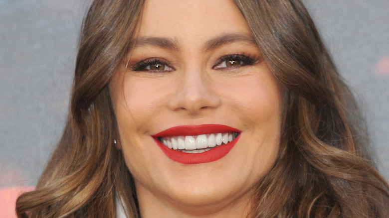 Sofia Vergara in 2018 close-up