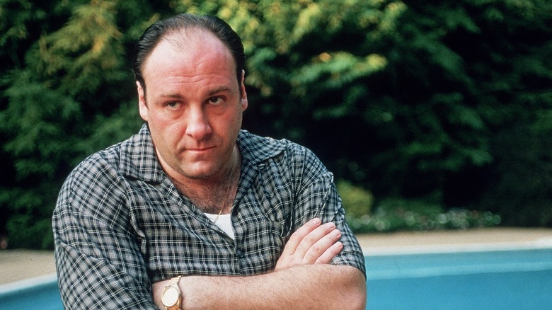 James Gandolfini acting as Tony Soprano on The Sopranos