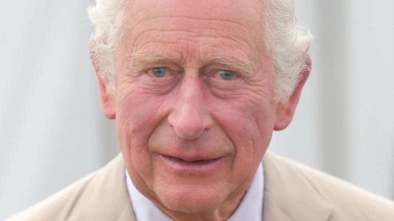 Prince Charles posing 