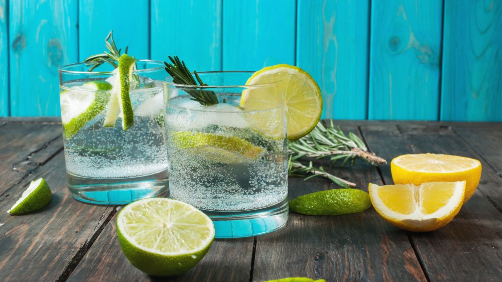 How Much Tonic Water Should You Drink A Day? 