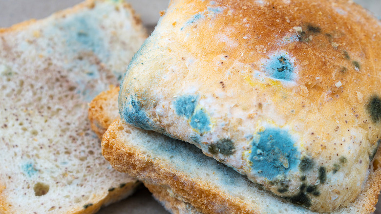Moldy slices of bread