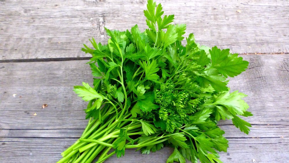 When You Eat Parsley Everyday This Is What Happens To Your Body 