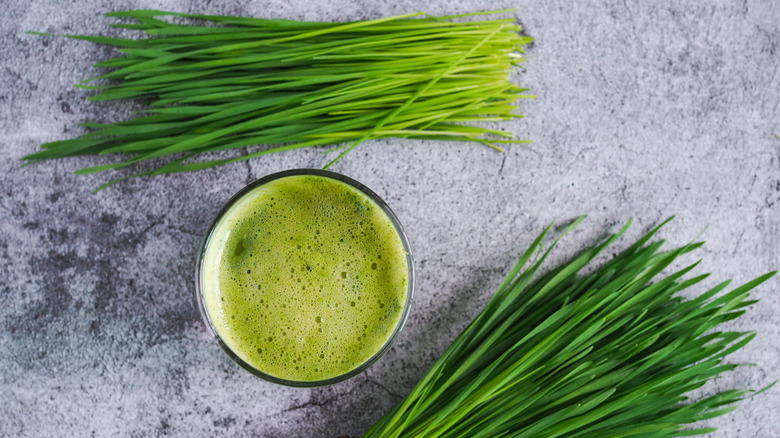 Glass of wheatgrass on a table