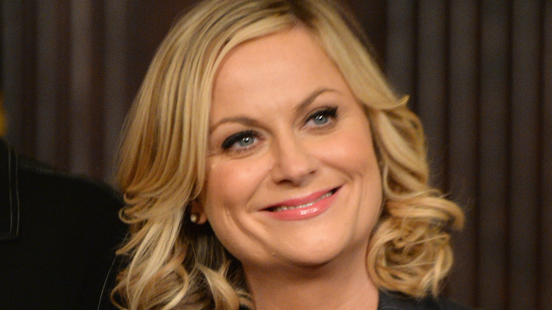 Amy Poehler