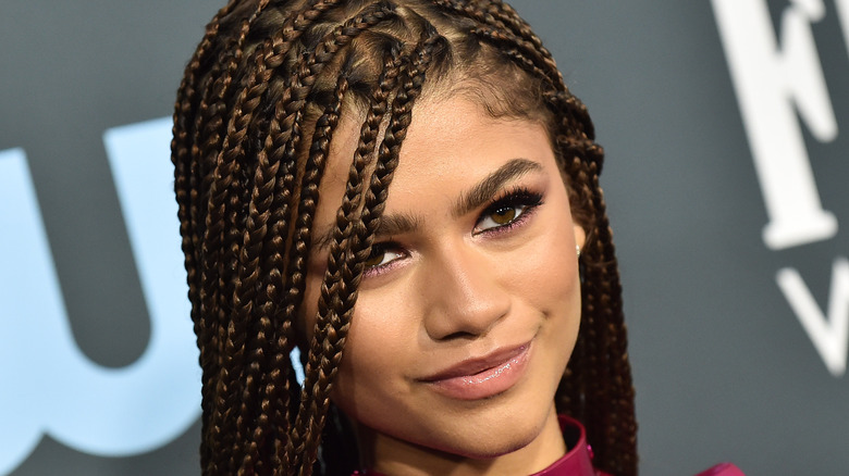 Zendaya closed mouth smile braids