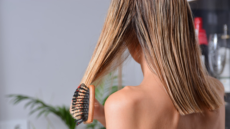 Which Is The Best Hairbrush For Wet Hair?
