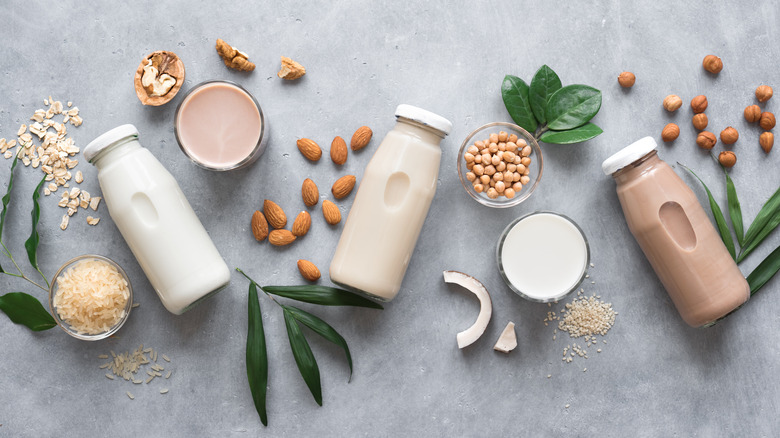 Plant-based milk alternatives