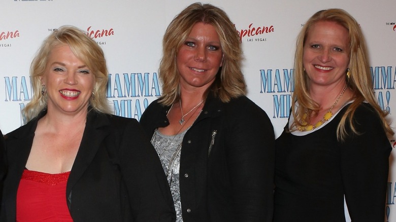 Kody Brown's ex-wives posing together