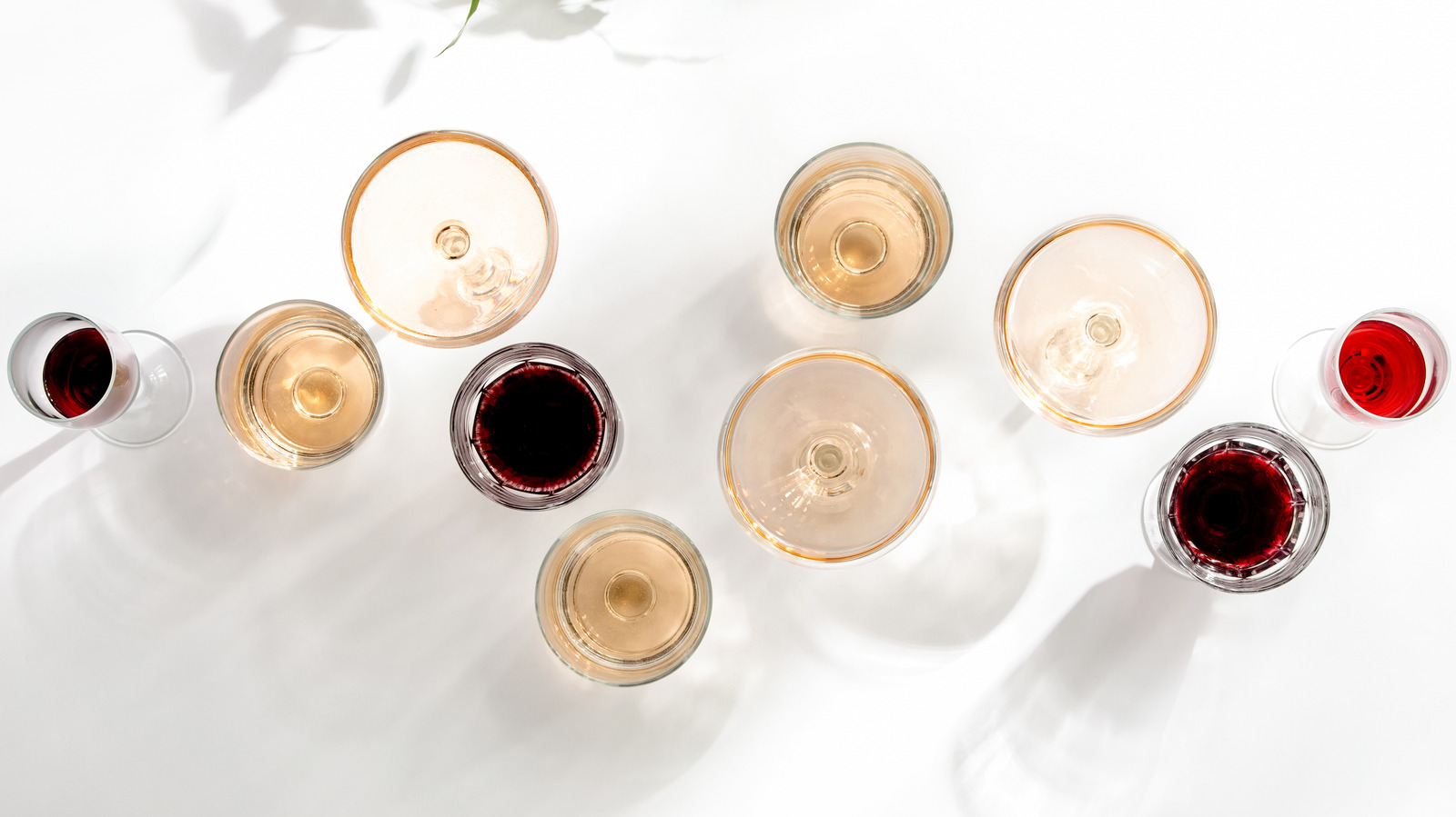 Which Wine Has The Most Alcohol?