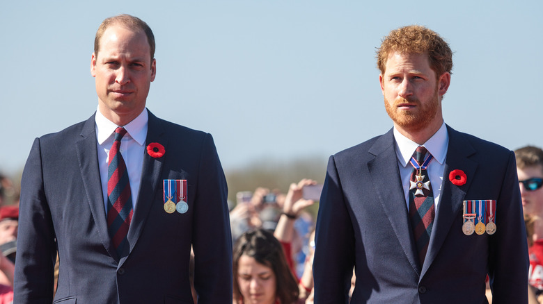 Prince Harry and older brother Prince William at an event. 