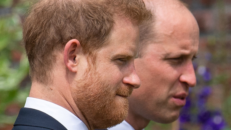 Princes William and Harry at Diana's statue unveiling