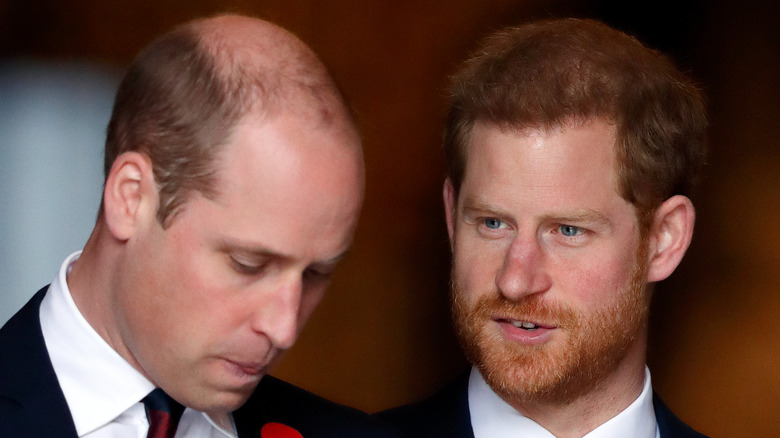 Princes William and Harry having a chat