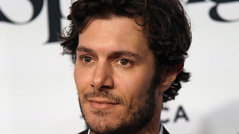 Adam Brody poses on the red carpet