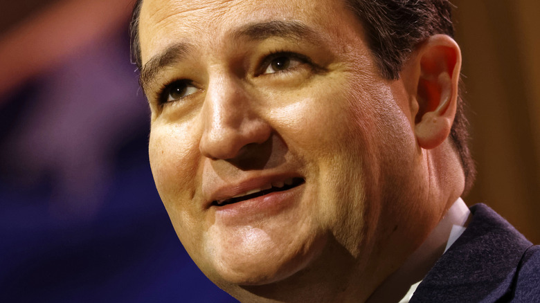 Ted Cruz smiling 