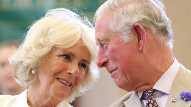 Charles and Camilla 