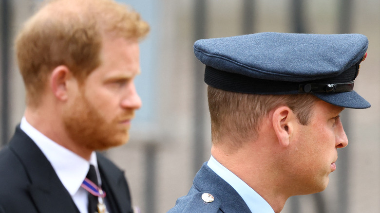 Prince Harry and Prince William