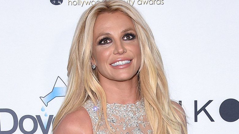 Why Cher's Promise To Britney Spears Has Fans In A Frenzy