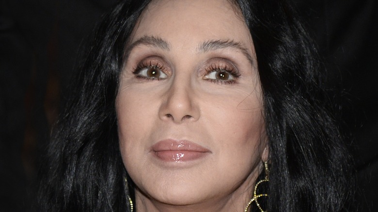 Cher looking into camera