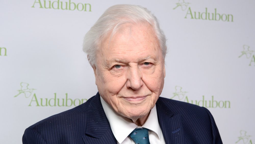 Sir David Attenborough