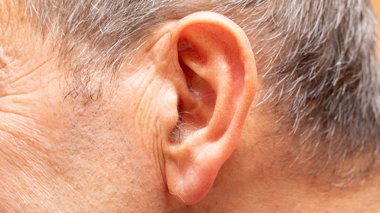 Hair appearing in ear canal
