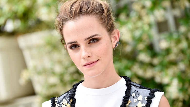 Emma Watson, Harry Potter's Hermione Granger