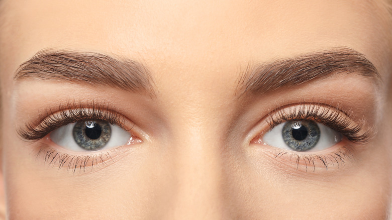 Closeup of eyes with curled lashes