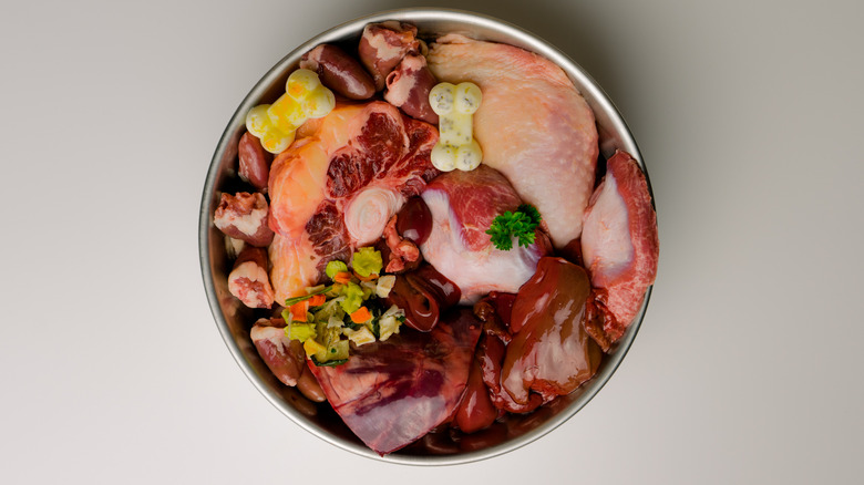 Dish of raw dog food
