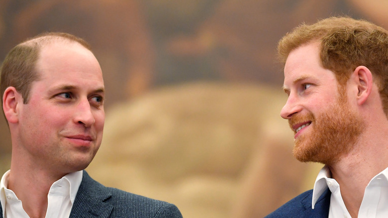 Prince William and Prince Harry look lovingly at each other